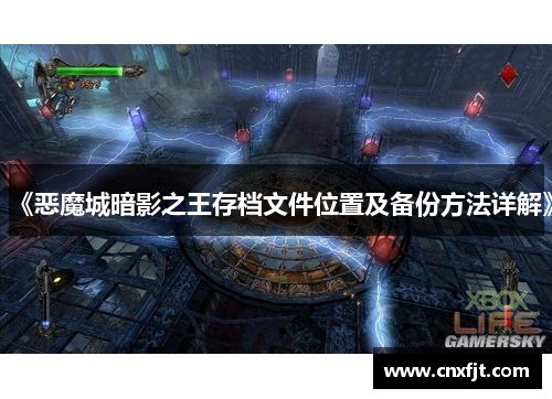 《恶魔城暗影之王存档文件位置及备份方法详解》