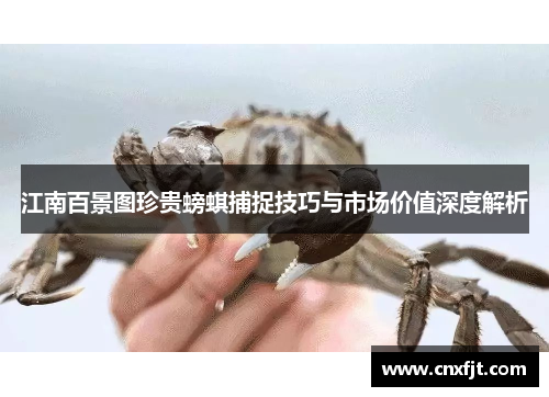 江南百景图珍贵螃蜞捕捉技巧与市场价值深度解析